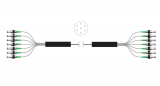 MCF Multicore Fiber Fanout