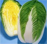 Chinese Cabbage