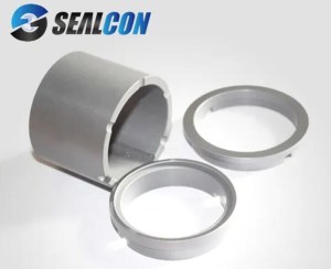 SiC Mechanical Seal