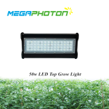 Megaphoton 50w 1ft Top LED grow light for hydroponic horticultural lighting projects
