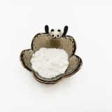 Palmitoylethanolamide (PEA)