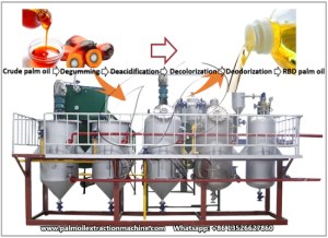 Edible oil refining machine for purifying the crude cooking oil