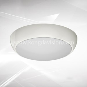 Emergency ceiling light