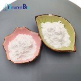 Retatrutide Polypeptide Pharmaceutical Intermediate Medical Care