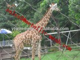 Zoo wire mesh fence,zoo enclosure