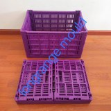 Longrange mould Plastic Injection Crate Mold +8613757687793