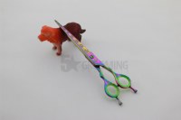 Dog Grooming Scissors