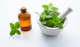 PLANT ESSENTIAL OIL WHOLESALE