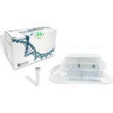 RNA/DNA Purification Kit (Magnetic Bead)