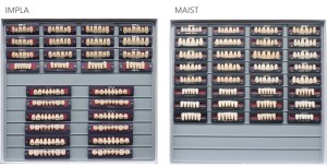 Teeth Living Mould Guide