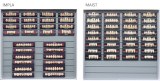 Teeth Living Mould Guide