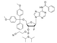 2'-Fluoro Phosphoramidites