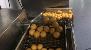 Doughnut holes machines for sale-Yufeng