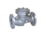 Check Valve