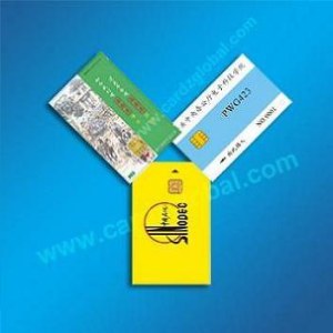 Contact smart card-SLE 5528 card -SLE 5542 card