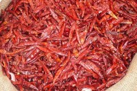Wholesale Premium Quality Dried African Long Red Chili Pepper
