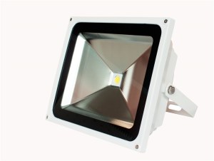 30W COB Flood Light