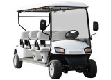 6 Seater Golf Cart