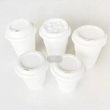 Biodegradable Coffee Cups Whoslesale
