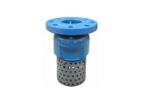 Ductile Iron Foot Valve Flange End