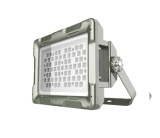 30w Led Flood Light