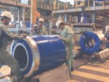 Prepainted Galvanized Steel Coil