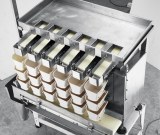 Sticky Product Linear Weigher ( Scraper Hopper)