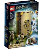 LEGO® Harry Potter Poudlard™ : le cours de botanique 76384