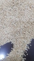 Sesame for sale