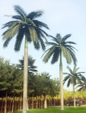 Artificial Royal Coco Palm