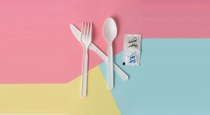 PLA Compostable Cutlery Fork Spoons Knife