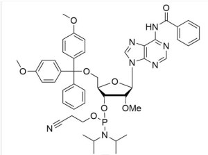 2'-OMe-rA(Bz) Phosphoramidite CAS NO. 110782-31-5 Wholesale