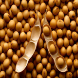 Soyabean