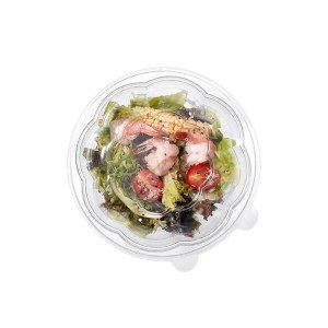 Plastic Salad Container