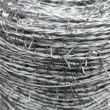Barbed Wire Galvanized and PVC coated Security Wire Fence Concertina steel