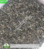 Fournisseur de thé 41022/4011/9371/9366 pour importateur