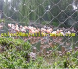 Aviary wire mesh fence,bird wire netting