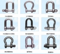 High quality of Shackles/Rigging