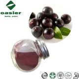 Natural Plant Extract Acai Berry Extract Powder