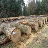 Alder Logs