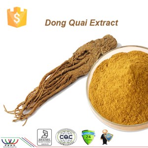 Pure natural Dong Quai Extract