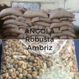 Green Coffee Robusta