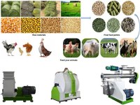 Animal Feed Machine Pellet Making Machinery On Sale