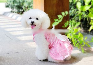 Pet Luxury Wedding Dress:AR-077