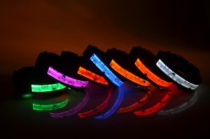 LED Beibei Bear Dog Collar:AR-230