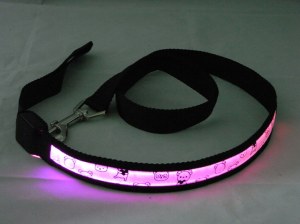 LED Teddy Bear Dog Leash