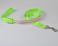 LED Colours Stripe Dog Leash:AR-250