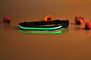 LED Belt