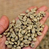 Robusta Coffee/Arabica Green Coffee Beans For Sale