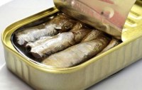 CANNED SARDINES MOROCCO
